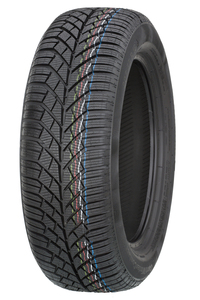 ContiWintCont TS 830